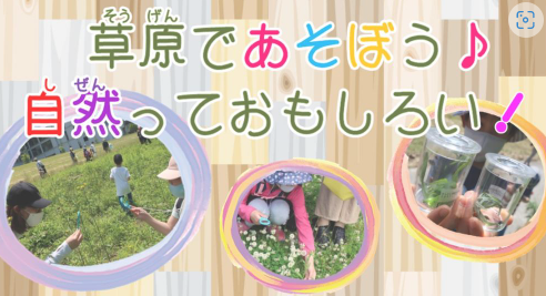 仙台市 たまきさんサロン講座 草原であそぼう 自然っておもしろい たまきさんサロン編 申込締切 6 29 水 東北環境パートナーシップオフィス